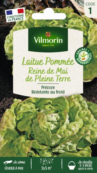 Potagères - Laitue Pommée Reine de Mai de Pleine Terre - PACKAGING_RECTO